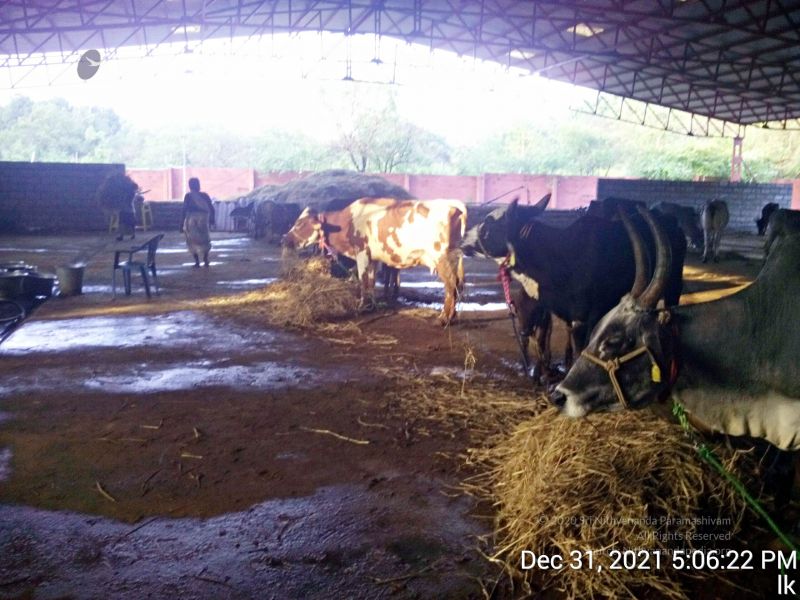 File:20211231 170622 (1) 11.jpg