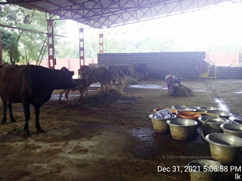 File:20211231 170658 11.jpg