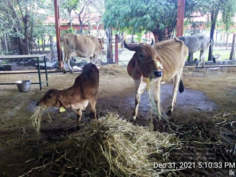 File:20211231 171033 11.jpg