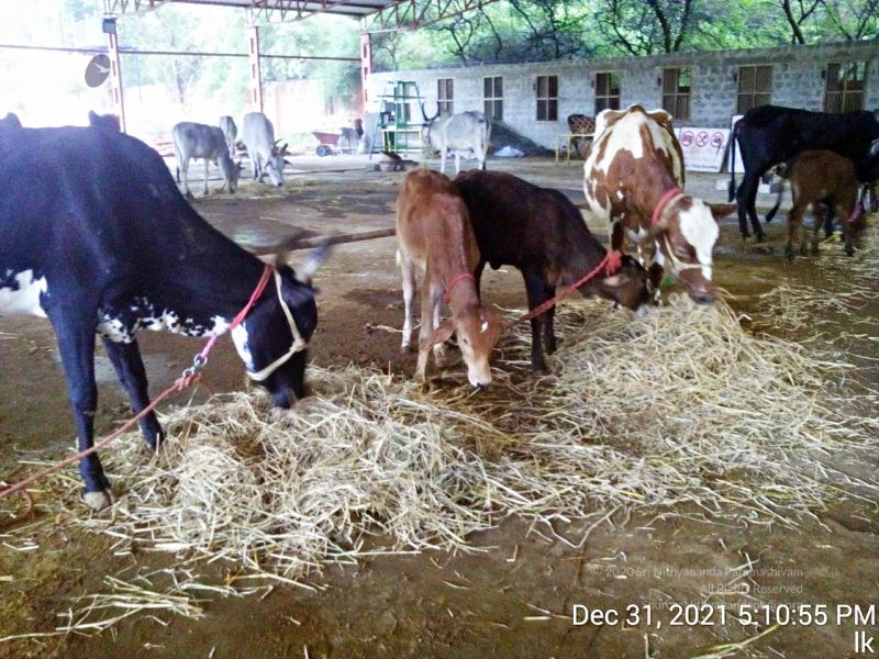 File:20211231 171055 11.jpg