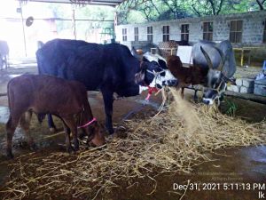 20211231 171113 11.jpg