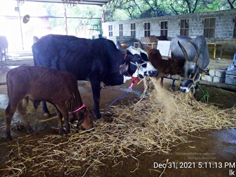 File:20211231 171113 11.jpg