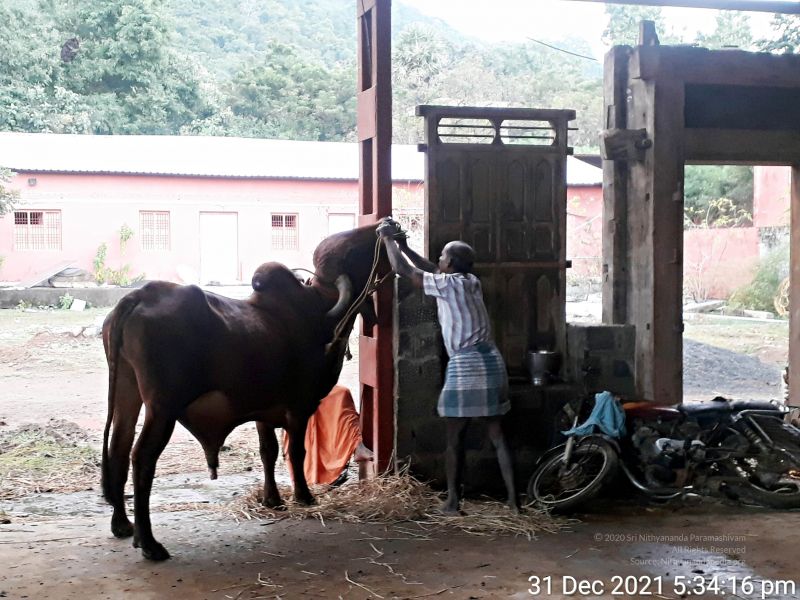 File:20211231 173416 11.jpg