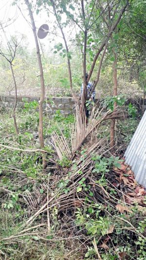 20211231 2021-12-31 at 2.48.54 PM (1) 11.jpg