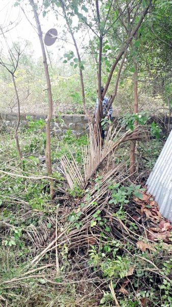 File:20211231 2021-12-31 at 2.48.54 PM (1) 11.jpg