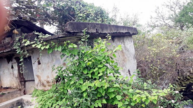 20211231 2021-12-31 at 2.48.54 PM 11.jpg