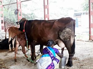 20211231 6.59.58 PM 11.jpg