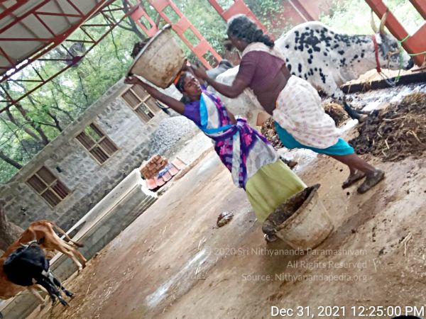 20211231 7.00.00 PM (1) 11.jpg