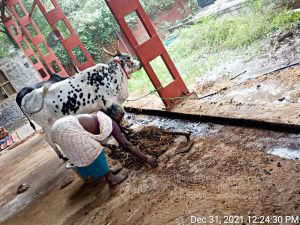 20211231 7.00.00 PM (2) 11.jpg