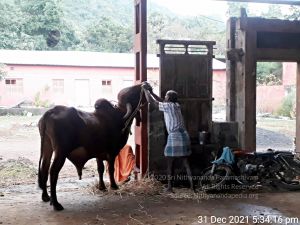 20211231 7.00.01 PM (1) 11.jpg