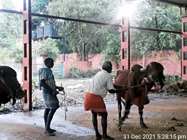 20211231 7.00.01 PM 11.jpg