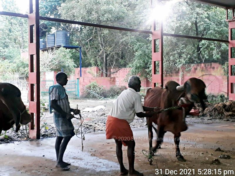 File:20211231 7.00.01 PM 11.jpg