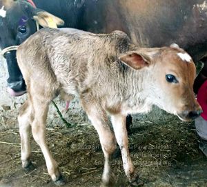 2022-01-06 at 8.41.36 PM (5) 11.jpg