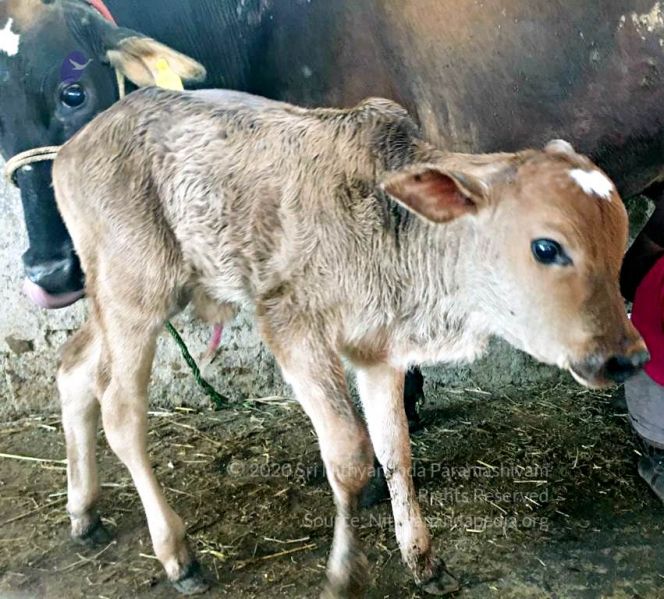 File:2022-01-06 at 8.41.36 PM (5) 11.jpg