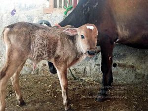 2022-01-06 at 8.41.36 PM (6) 11.jpg