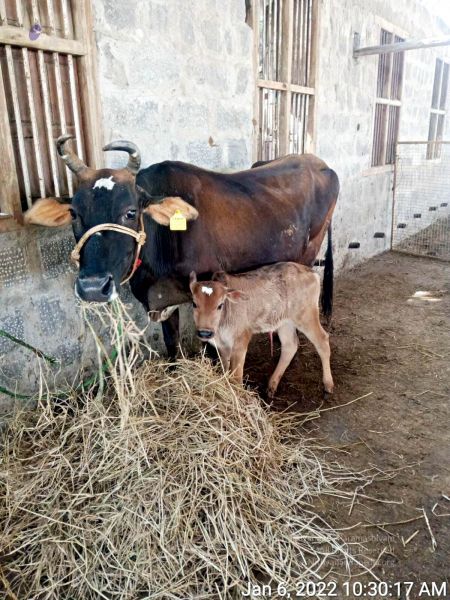 File:2022-01-06 at 8.48.37 PM 11.jpg