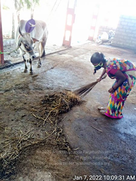 File:2022-01-07 at 10.15.35 AM 11.jpg