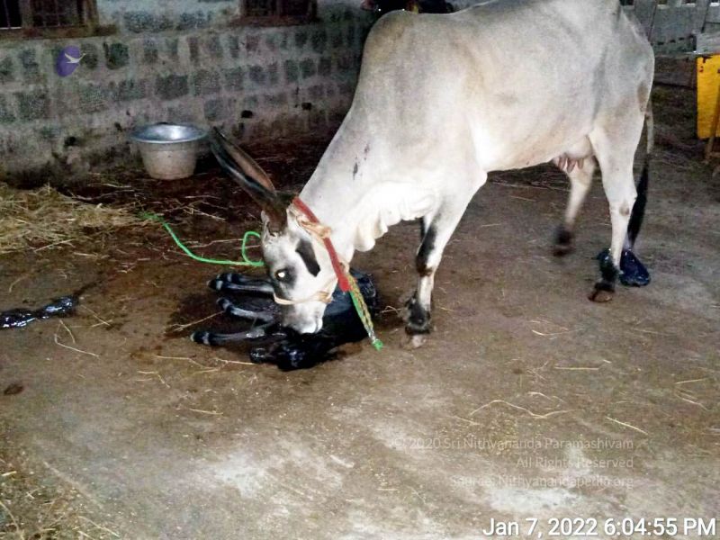 File:2022-01-08 at 3.17.17 PM 11.jpg