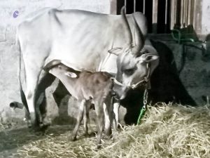 2022-01-08 at 3.18.47 PM (1) 11.jpg