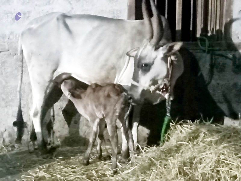 File:2022-01-08 at 3.18.47 PM 11.jpg