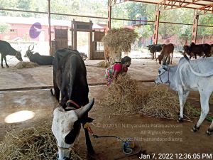 2022-01-08 at 3.49.28 PM (2) 11.jpg