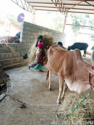 2022-01-08 at 3.49.28 PM 11.jpg