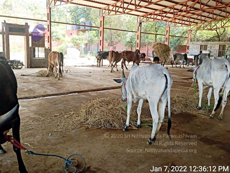 File:2022-01-08 at 3.49.29 PM (1) 11.jpg