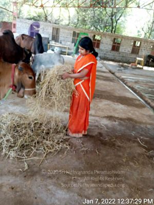 2022-01-08 at 3.49.30 PM 11.jpg