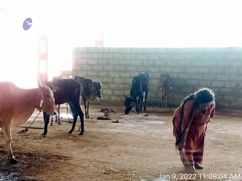 File:2022-01-09 at 11.09.00 AM 11.jpg