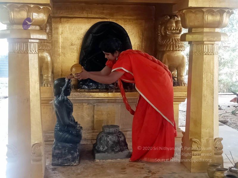 File:2022-01-09 at 11.09.46 AM (1) 11.jpg