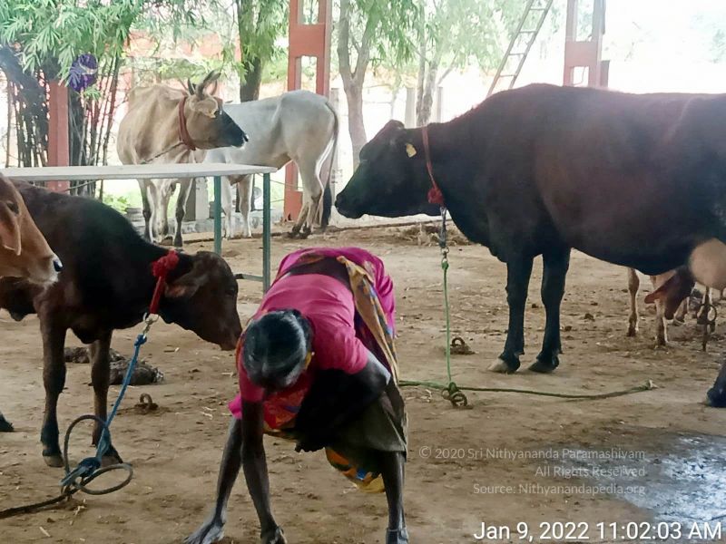 File:2022-01-09 at 11.09.46 AM 11.jpg