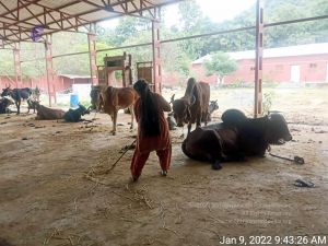 2022-01-09 at 11.09.47 AM (1) 11.jpg