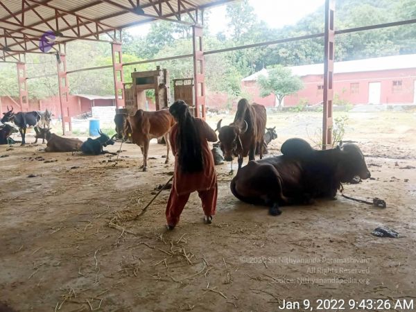 2022-01-09 at 11.09.47 AM (1) 11.jpg