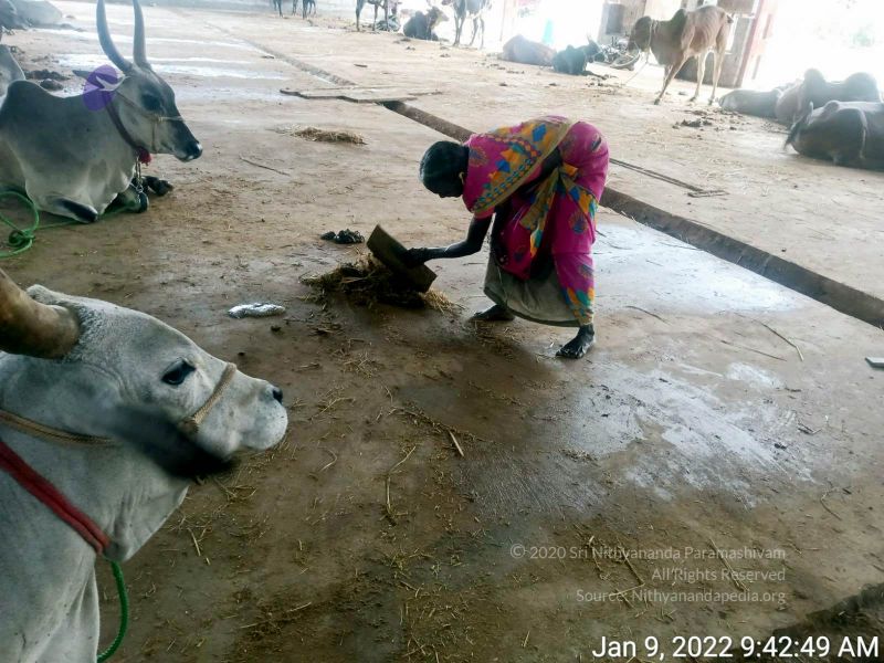 File:2022-01-09 at 11.09.47 AM (2) 11.jpg