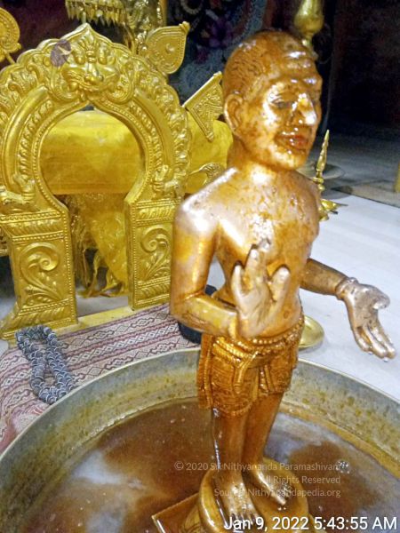 File:2022-01-09 at 7.17.29 AM (2) 11.jpg