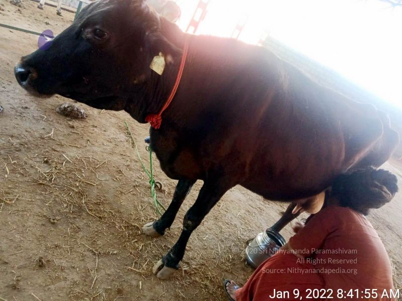 File:2022-01-09 at 8.42.19 AM 11.jpg