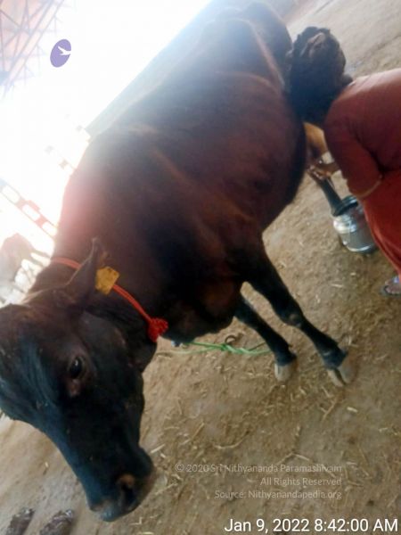 File:2022-01-09 at 8.42.27 AM 11.jpg