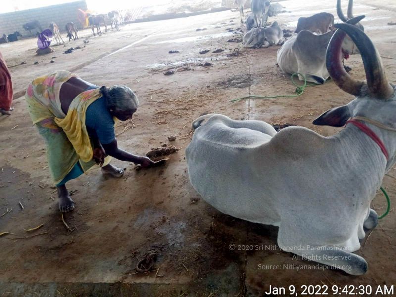 File:2022-01-09 at 9.43.46 AM 11.jpg