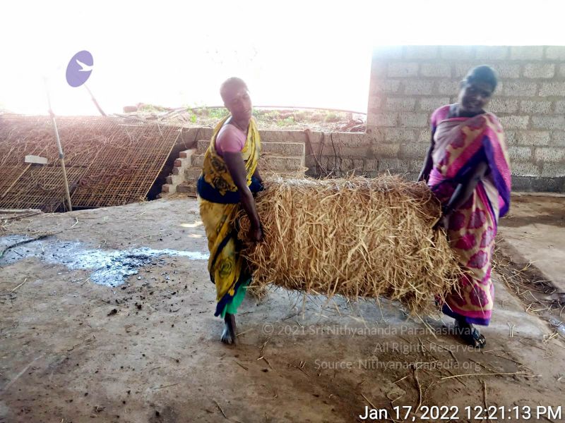 File:2022-01-17 at 12.24.20 PM 11.jpg