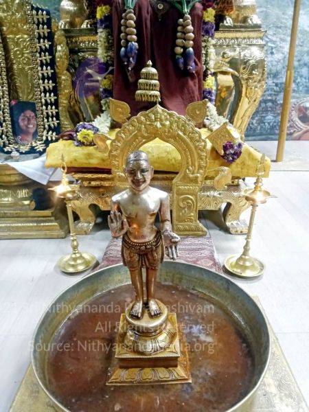 File:2022-01-17 at 8.01.01 AM 11.jpg