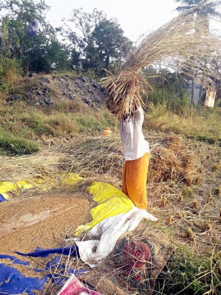 File:2022-01-23 at 4.45.04 PM 11.jpg