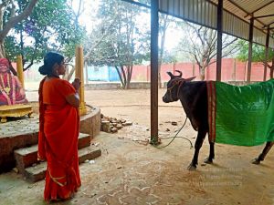 2022-01-23 at 5.58.16 PM 11.jpg