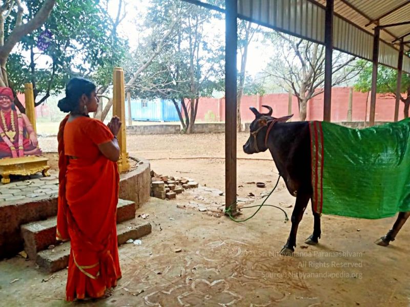 File:2022-01-23 at 5.58.16 PM 11.jpg