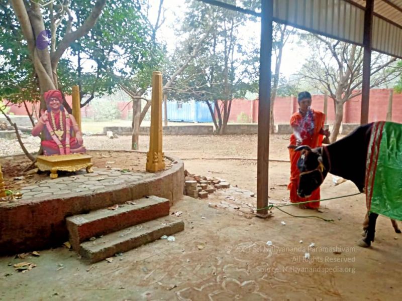 File:2022-01-23 at 5.58.19 PM (1) 11.jpg