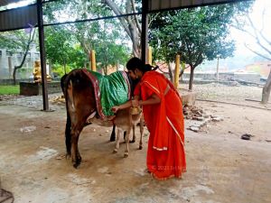 2022-01-23 at 5.58.20 PM 11.jpg