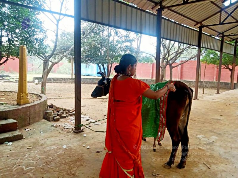 File:2022-01-23 at 5.58.21 PM (1) 11.jpg