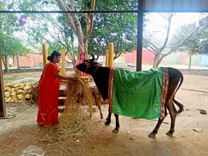 2022-01-23 at 5.58.21 PM (2) 11.jpg