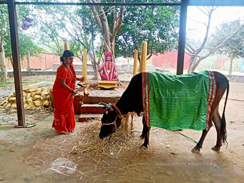 File:2022-01-23 at 5.58.22 PM (2) 11.jpg