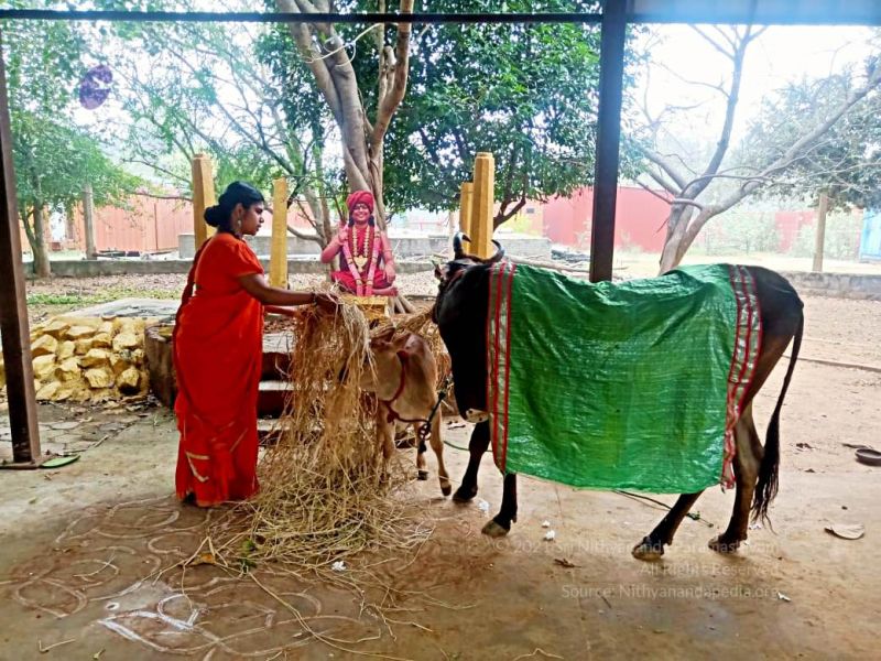 File:2022-01-23 at 5.58.22 PM 11.jpg