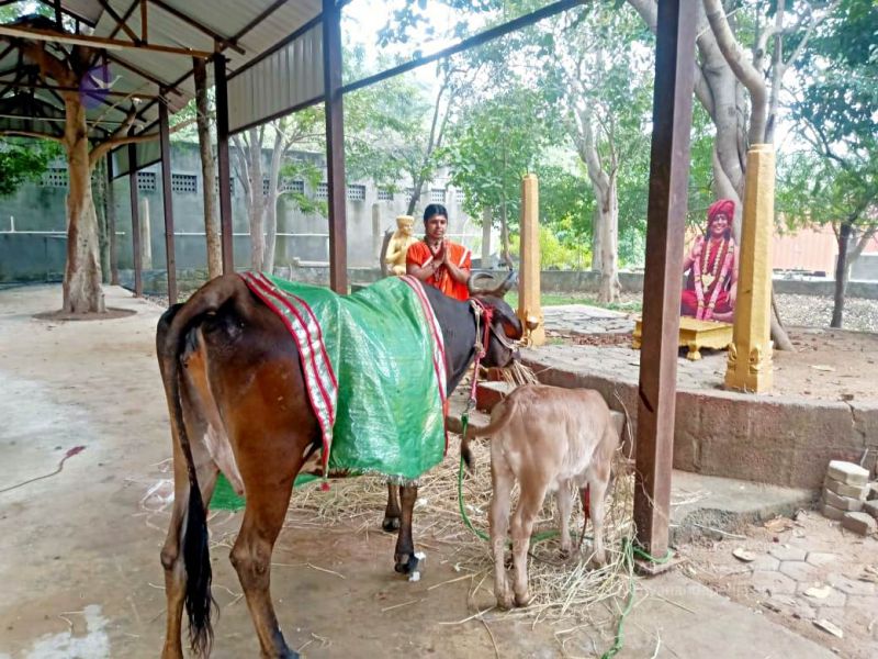 File:2022-01-23 at 5.58.56 PM 11.jpg